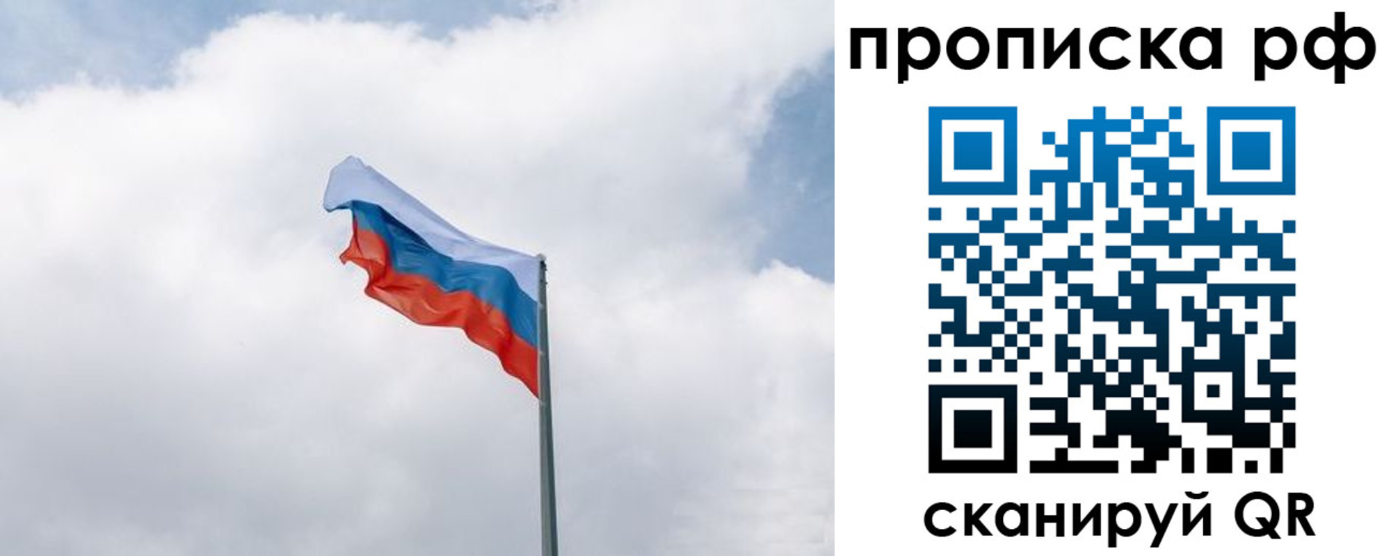 прописка гарантия в Алексине